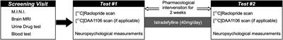 Potential Treat-to-Target Approach for Methamphetamine Use Disorder: A Pilot Study of Adenosine 2A Receptor Antagonist With Positron Emission Tomography